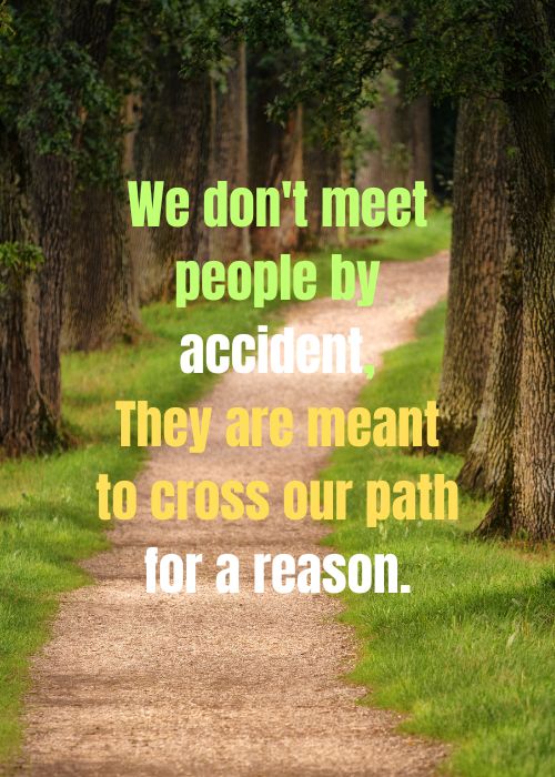 Quote: We don't meet people by accident, they are meant to cross our path for a reason.